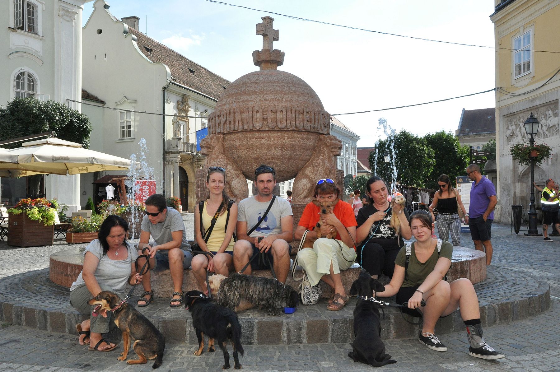 A hontalan állatokért tartott belvárosi sétát a Herosz Fehérvári Állatotthona